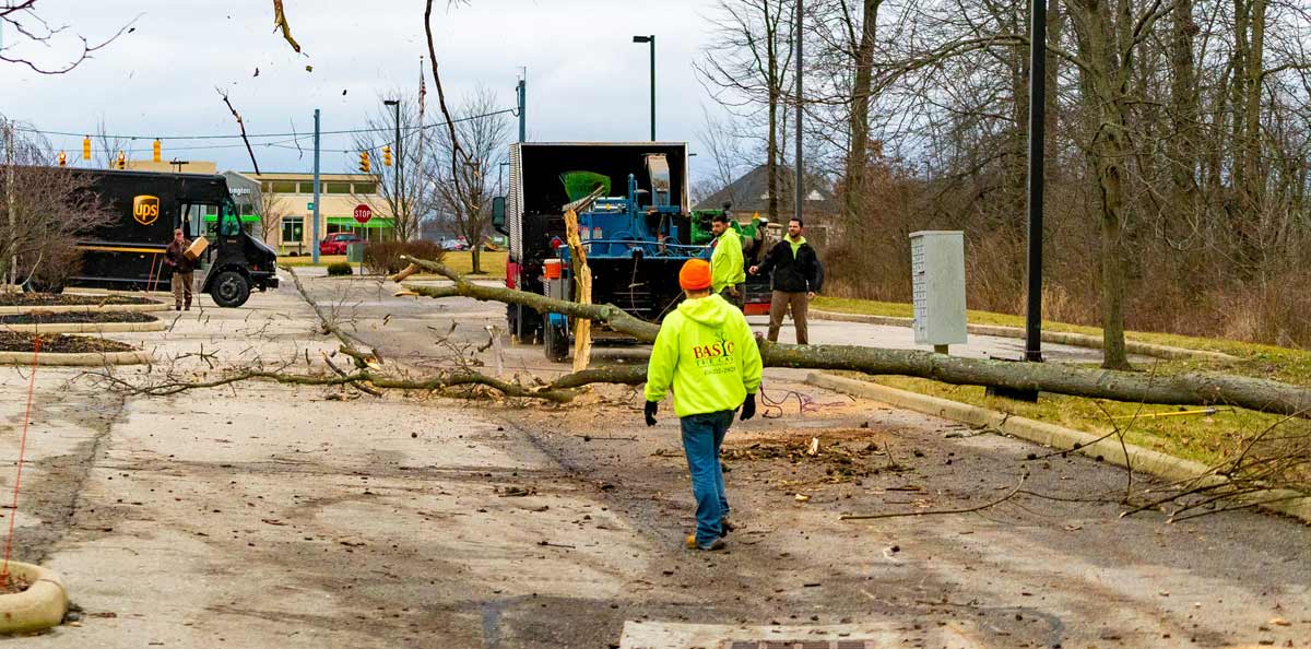 Storm clean-up