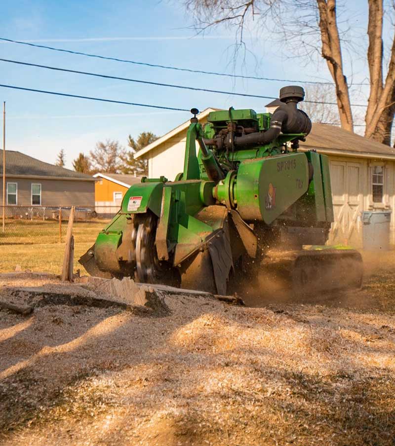 Tree Removal Services in Columbus Ohio