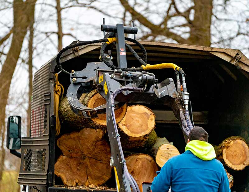 Tree Removal Services in Columbus Ohio