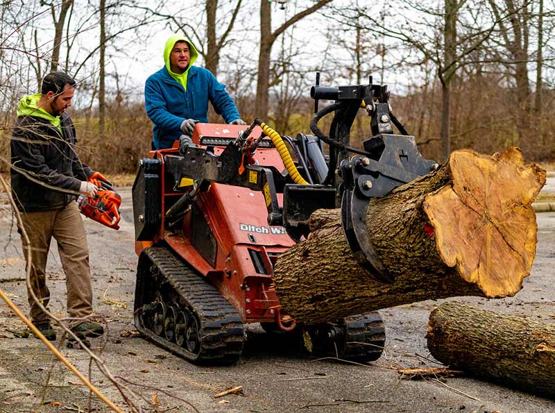 Tree Removal Services in Columbus Ohio